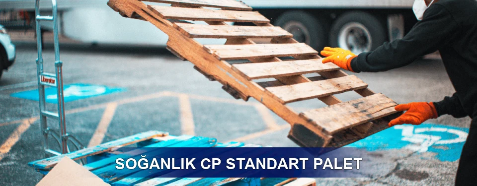 Soğanlık Fiyatlandırma