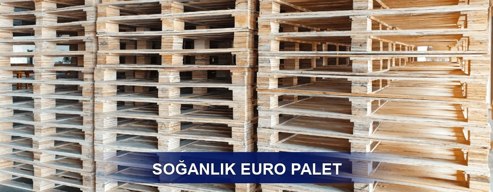 Soğanlık Depo Kullanımı