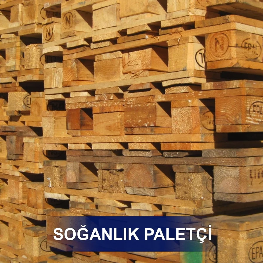 Soğanlık Paletçi