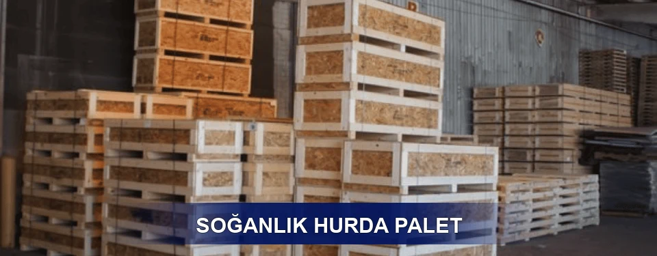 Soğanlık Sınıflandırma