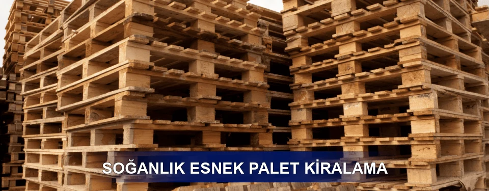 Soğanlık Fiyatlandırma
